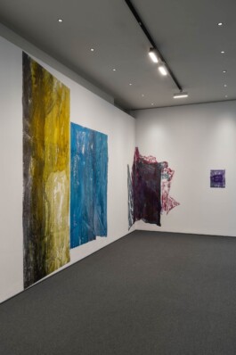 Anna Schapiro, Reverse Motion, OP ENHEIM, 2024, photo: Alicja Kielan