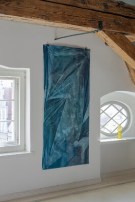 Anna Schapiro, Reverse Motion, 2024, photo: Alicja Kielan