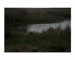 Anna Schapiro Daniel Maier-Reimer’s Journey Biebrza 2025 as Presented by Anna Schapiro