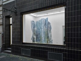 Anna Schapiro, Daniel Maier-Reimer’s Journey Biebrza 2025 as Presented by Anna Schapiro, 2025, Simon Vogel Anna Schapiro, visual artist, writer and editor based in Berlin