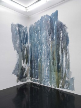 Anna Schapiro, Daniel Maier-Reimer’s Journey Biebrza 2025 as Presented by Anna Schapiro, 2025, Simon Vogel Anna Schapiro, visual artist, writer and editor based in Berlin