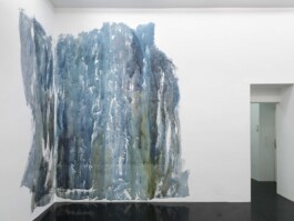 Anna Schapiro, Daniel Maier-Reimer’s Journey Biebrza 2025 as Presented by Anna Schapiro, 2025, Simon Vogel Anna Schapiro, visual artist, writer and editor based in Berlin