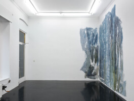 Anna Schapiro, Daniel Maier-Reimer’s Journey Biebrza 2025 as Presented by Anna Schapiro, 2025, Simon Vogel Anna Schapiro, visual artist, writer and editor based in Berlin