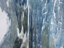 Anna Schapiro, Daniel Maier-Reimer’s Journey Biebrza 2025 as Presented by Anna Schapiro, 2025, Simon Vogel Anna Schapiro, visual artist, writer and editor based in Berlin