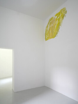 Anna Schapiro, Daniel Maier-Reimer’s Journey Biebrza 2025 as Presented by Anna Schapiro, 2025, Simon Vogel Anna Schapiro, visual artist, writer and editor based in Berlin