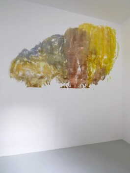 Anna Schapiro, Daniel Maier-Reimer’s Journey Biebrza 2025 as Presented by Anna Schapiro, 2025, Simon Vogel Anna Schapiro, visual artist, writer and editor based in Berlin