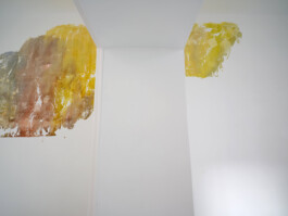 Anna Schapiro, Daniel Maier-Reimer’s Journey Biebrza 2025 as Presented by Anna Schapiro, 2025, Simon Vogel Anna Schapiro, visual artist, writer and editor based in Berlin