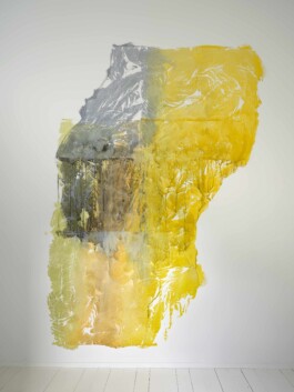 Anna Schapiro, Daniel Maier-Reimer’s Journey Biebrza 2025 as Presented by Anna Schapiro, 2025, Simon Vogel Anna Schapiro, visual artist, writer and editor based in Berlin